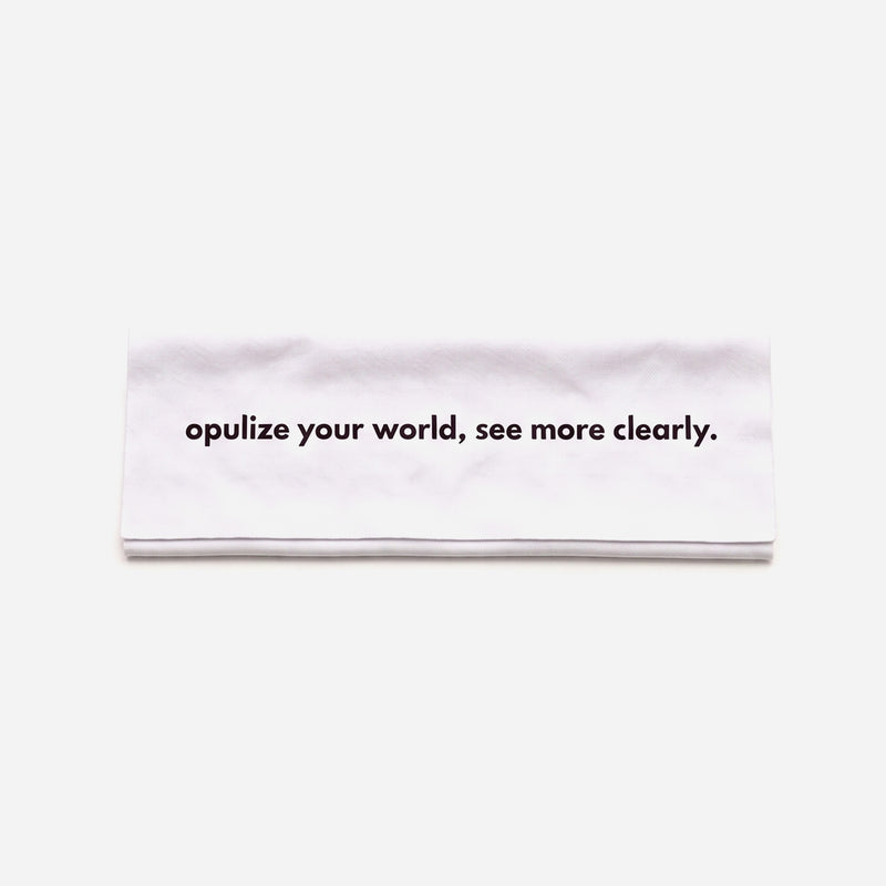 Cleaning Cloth